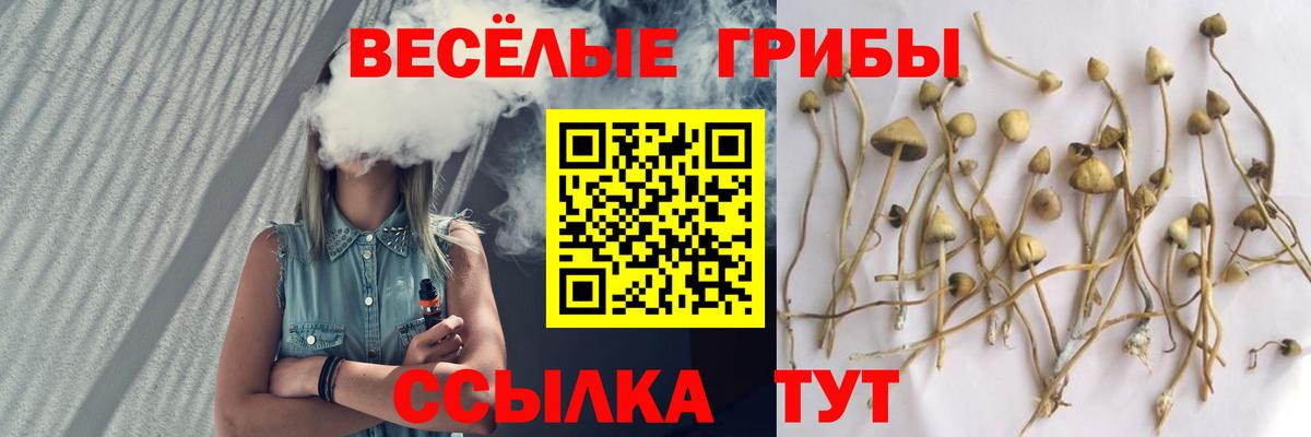 Галлюциногенные грибы Psilocybe Лангепас